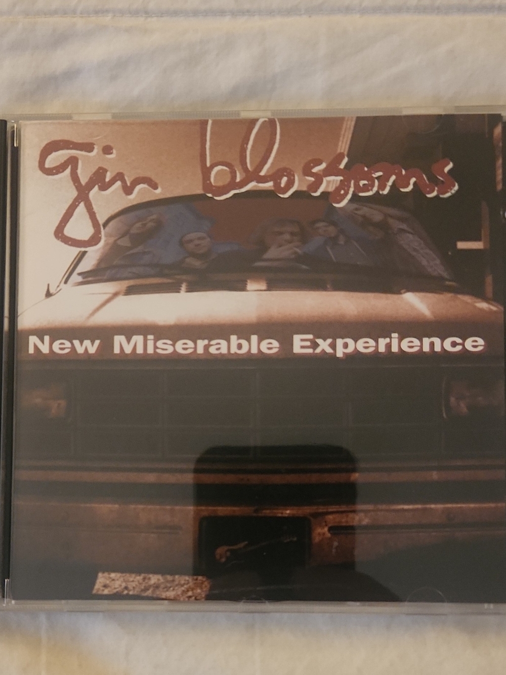 - New Miserable Experience (Brown)